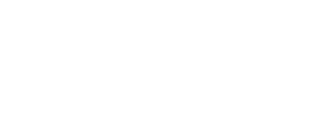 Gemini brand